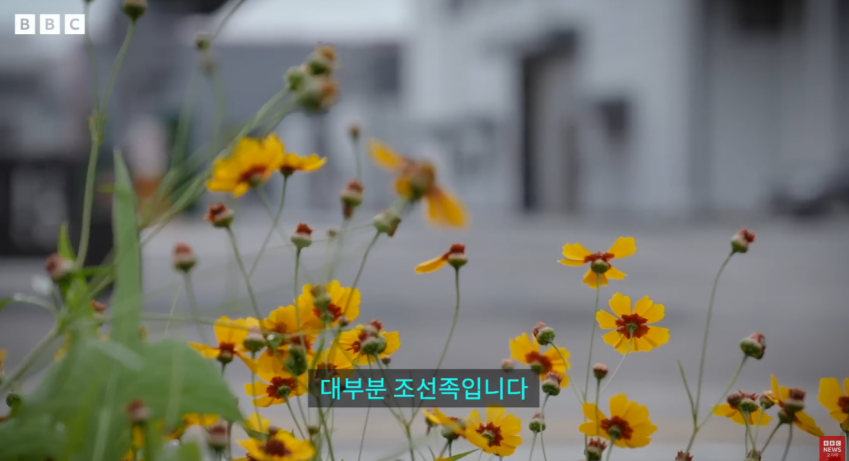 한국에서 타죽은 조선족 여자들 (17)