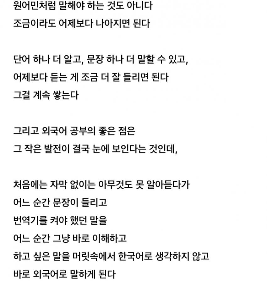 싱글벙글 애매한 재능일수록 외국어 공부를 시작해라 (6)