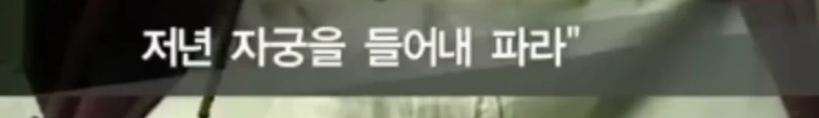 북한의 일본군 성노예 피해자 증언 (29)