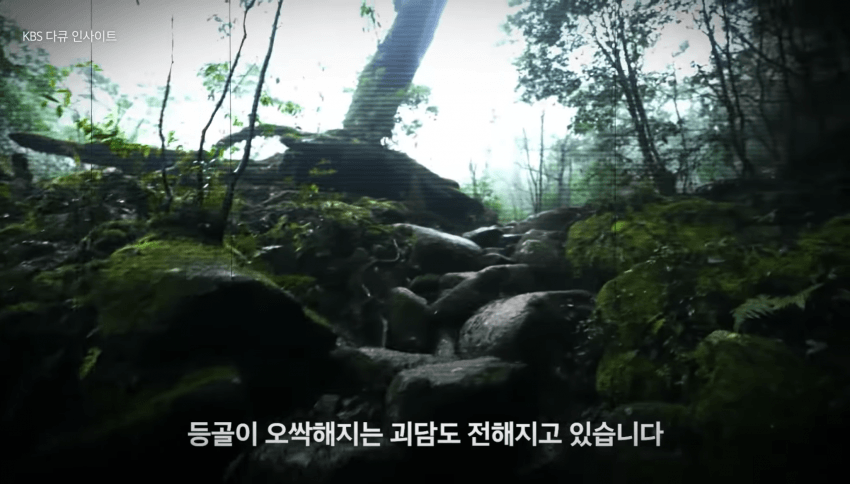 깜짝 .. 일본숲이 유독 무서운 이유 ㄹㅇ . (7)