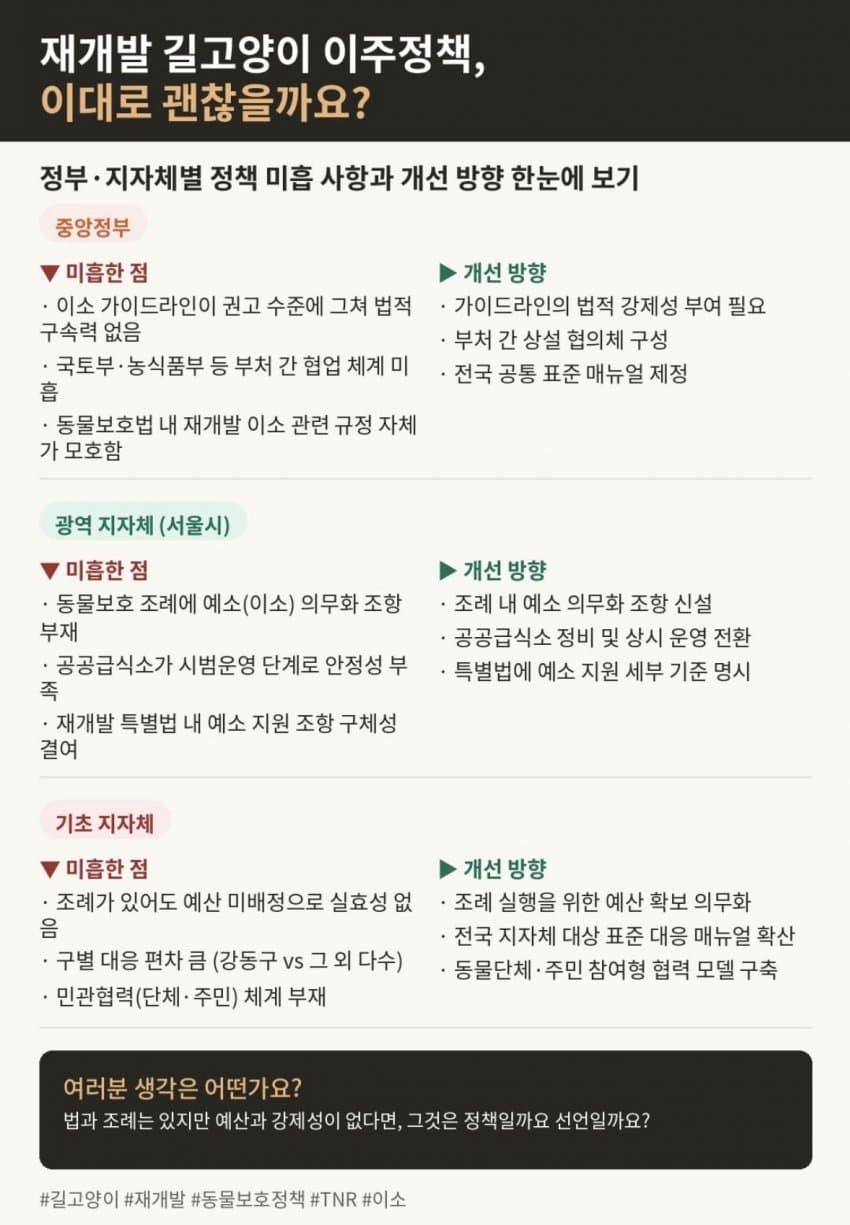 앞으로 재개발 하려거든 지역 고양이 전부 구조하라는 캣맘 (3)