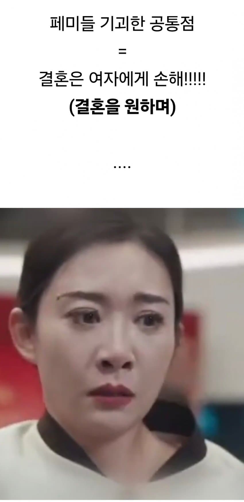 전세계 페미들의 기괴한 특징 (8)