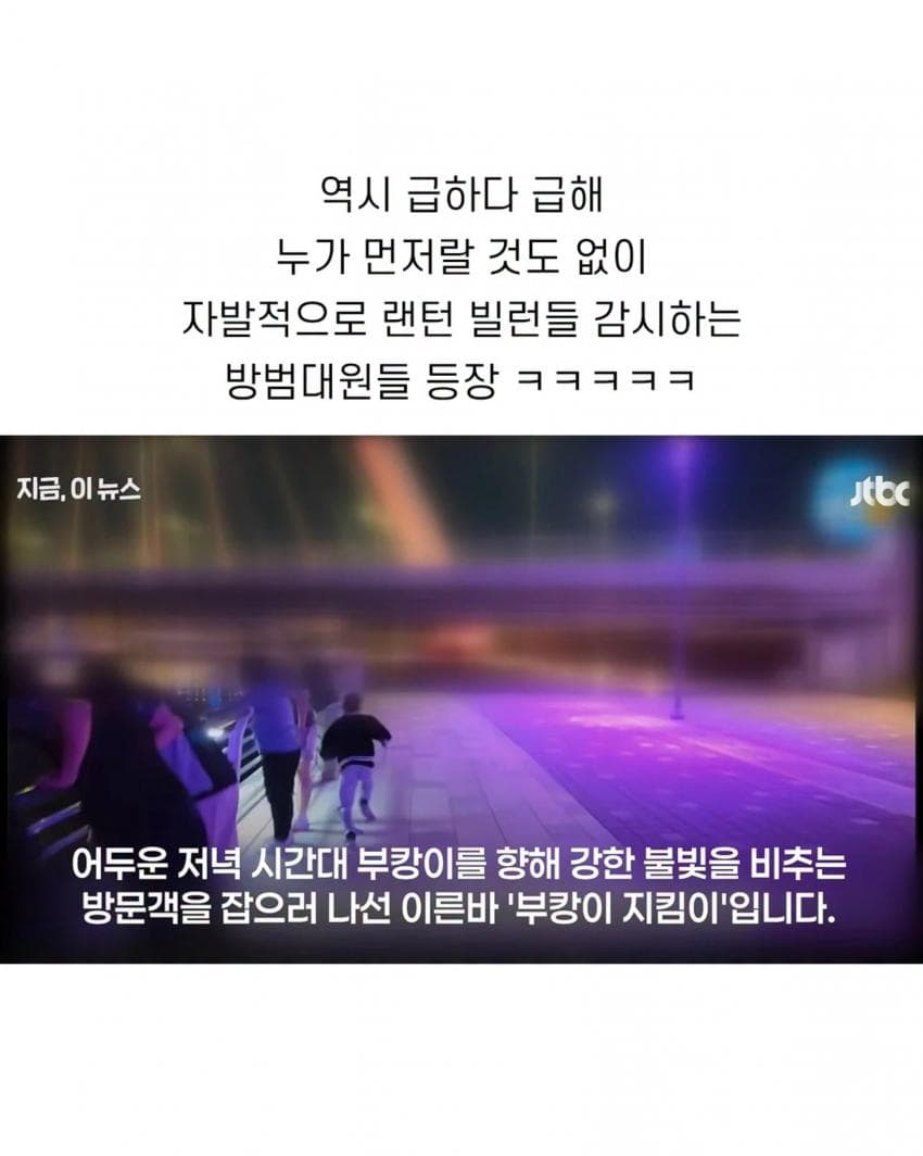 훌쩍훌쩍 죽기 직전이라는 부산 상어 (9)
