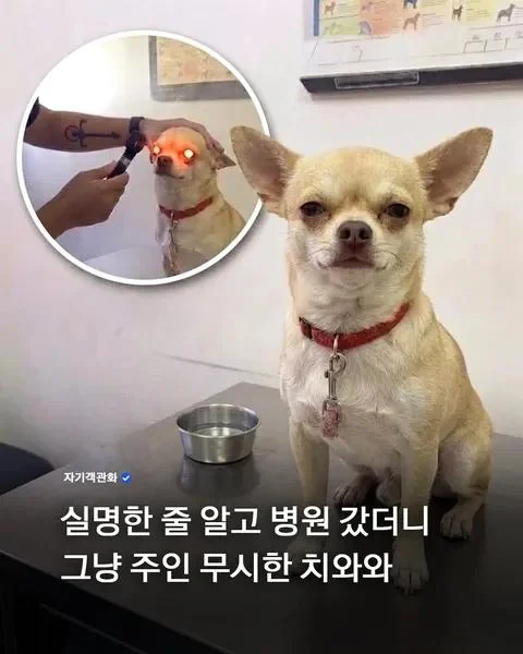 실명인줄 알고 병원 간 좆와와.