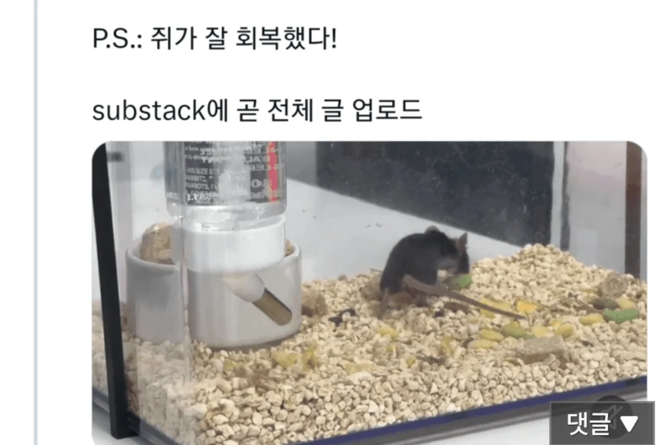 오푸스 AI '살아있는 쥐' 수술 거부 (5)