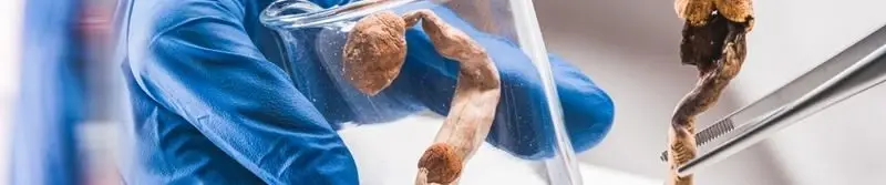 말기 중증 치매 환자에게 독버섯 1회 투약후 모든 기능 정상으로 회복 (4)