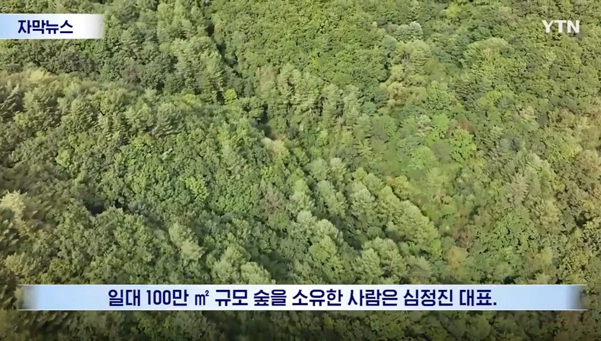 수십억 들여 숲 사놓고 아무것도 안한 이유 (7)