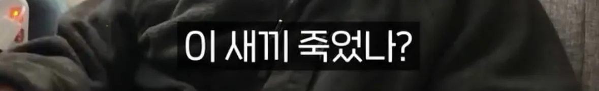 탈북자가 북한에서 생긴 가장 큰 트라우마