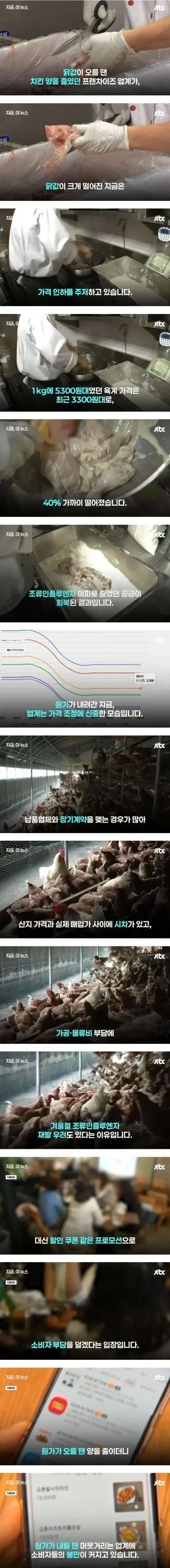 닭값 40% 하락에도 주저하는 치킨업계