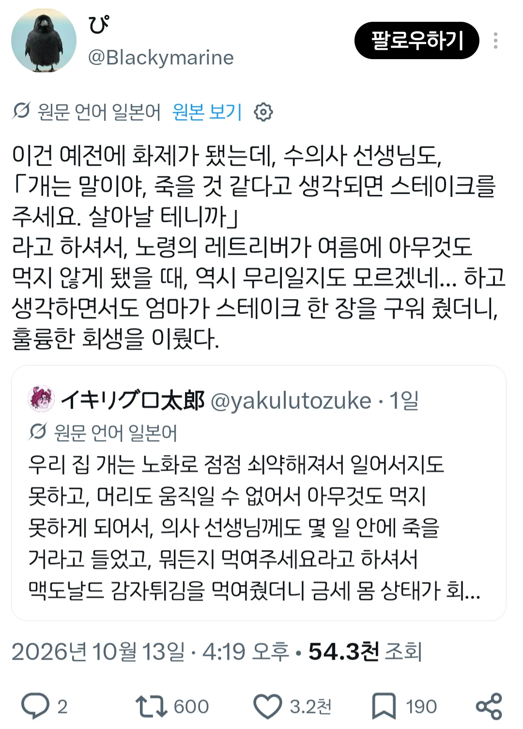 노령의 강아지 부활시키는 법