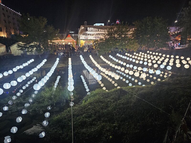 오늘 개막한 춘천 닭갈비 막국수 축제 사진들 (28)