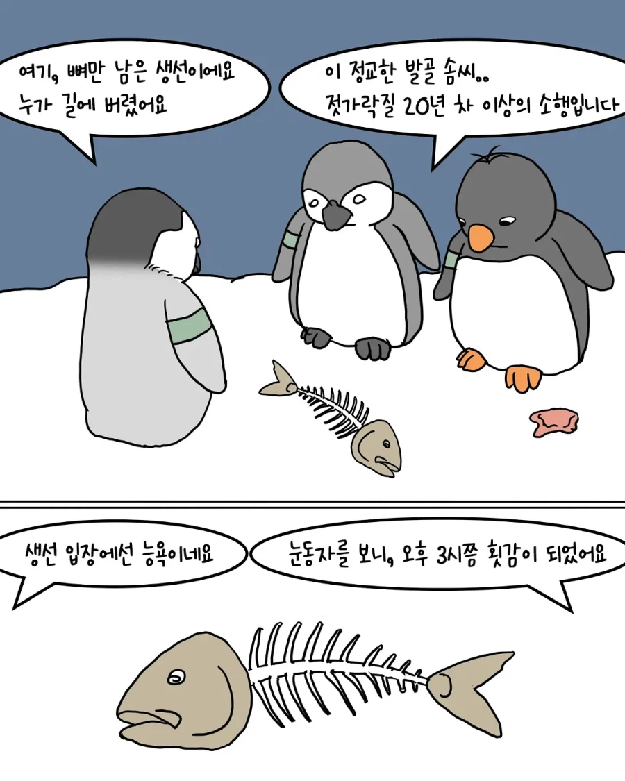 야간 순찰대를 운영하는 남극 펭귄들.manwha (4)