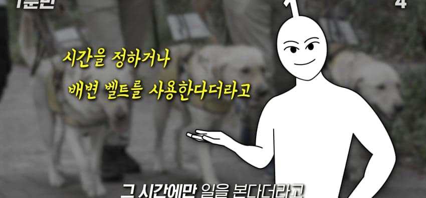 안내견은 목적지를 어떻게 아는 걸까? (34)