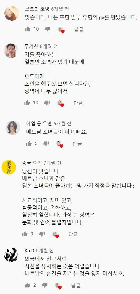 K-국뽕을 그대로 수입한 V-국뽕 (8)