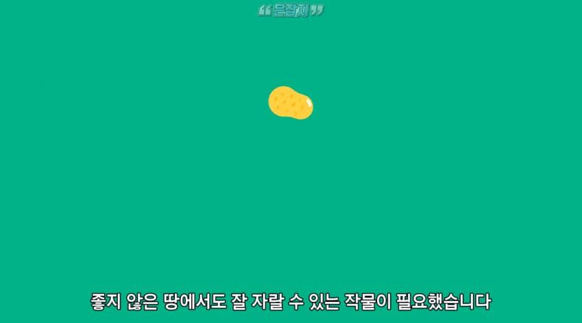 인구가 절반으로 줄어든 사연 (9)