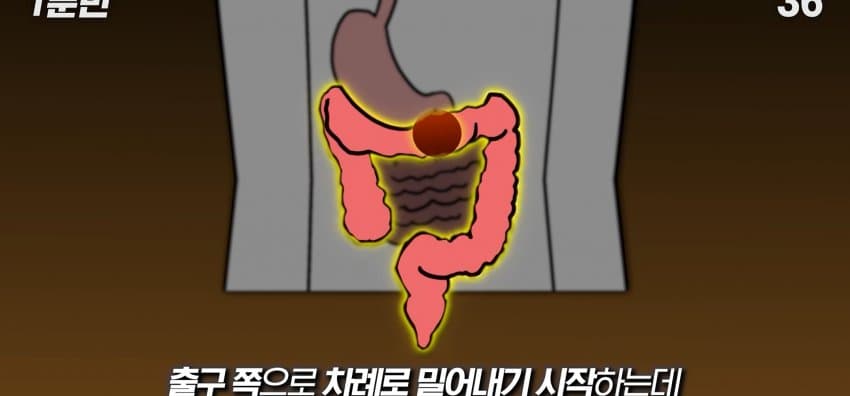 먹자마자 바로 화장실 가는 사람은 뭘까? (15)