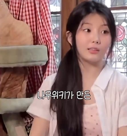 사실 루머공장이라는 나무위키