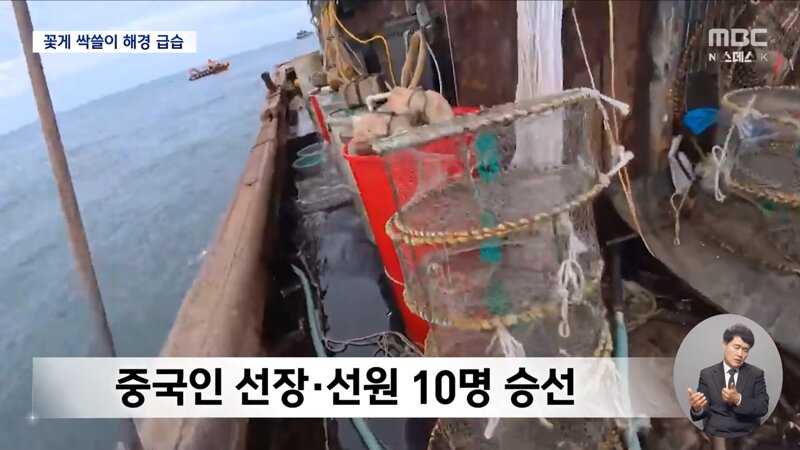 중국 눈치 당연히 안 보고 불법 조업 중국 어선 모조리 강력 진압합시다!!! 아이고 속 시원허다~~~ (9)