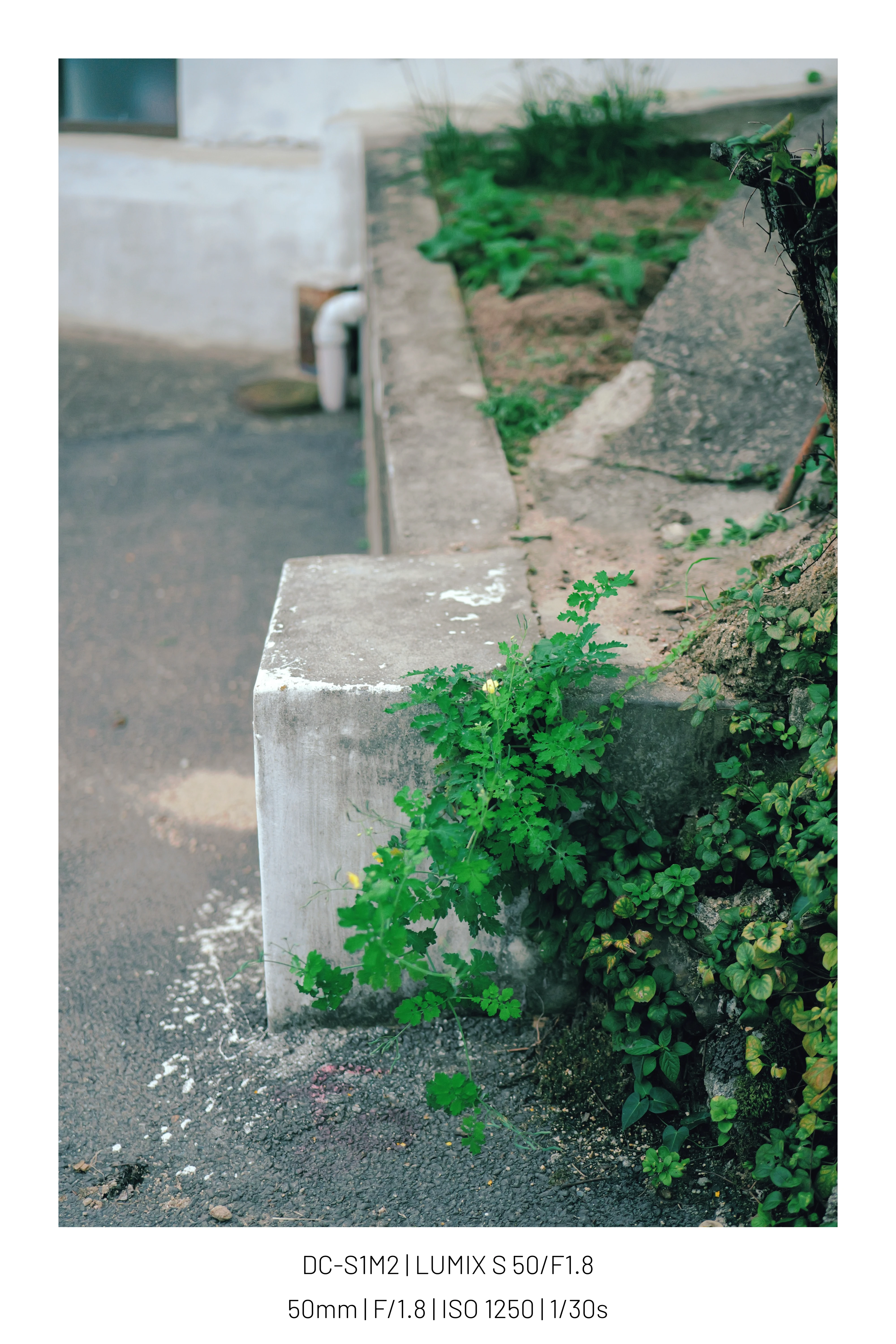 Place, Korea. (25pic (16)
