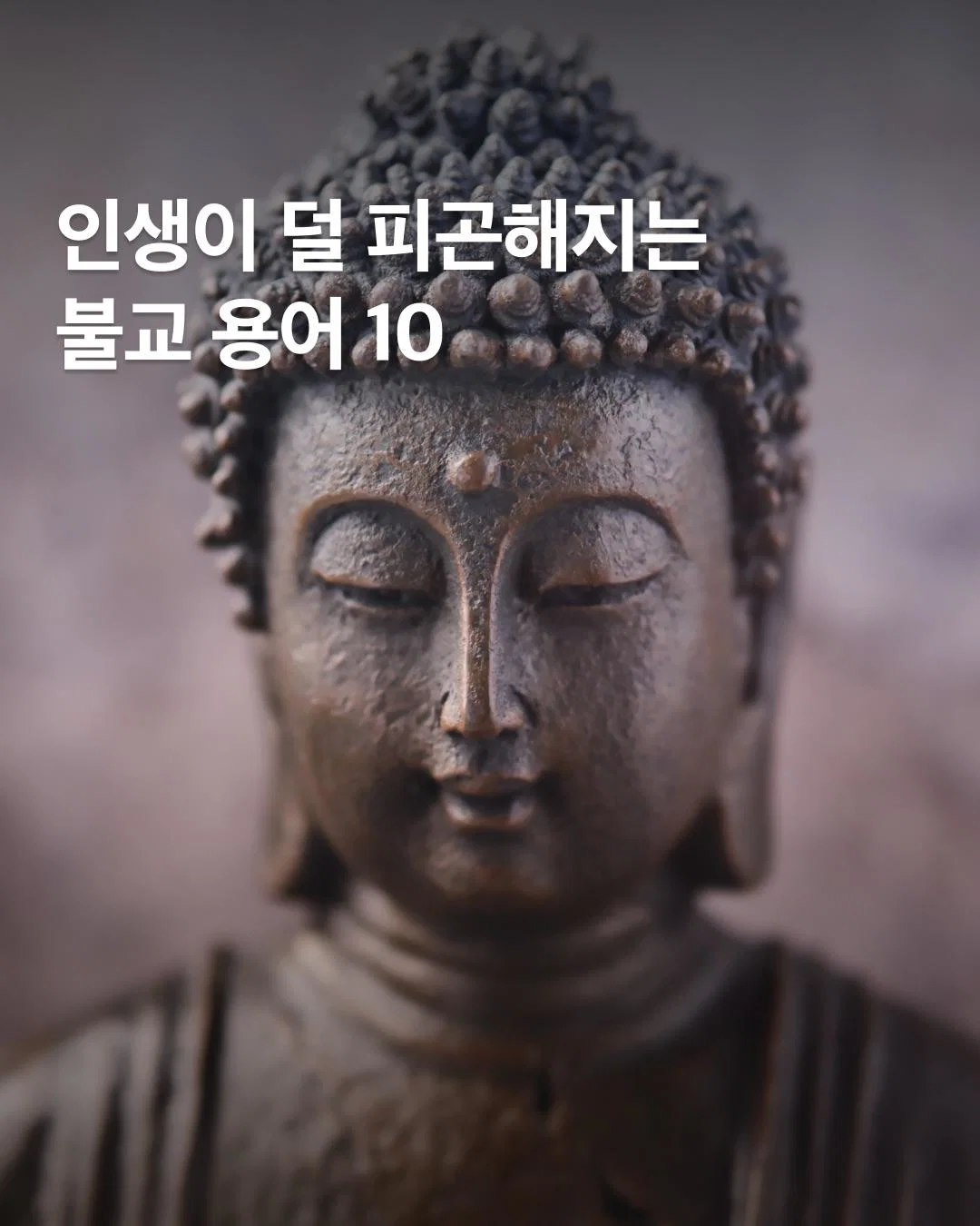 인생이 덜 피곤해지는 불교용어