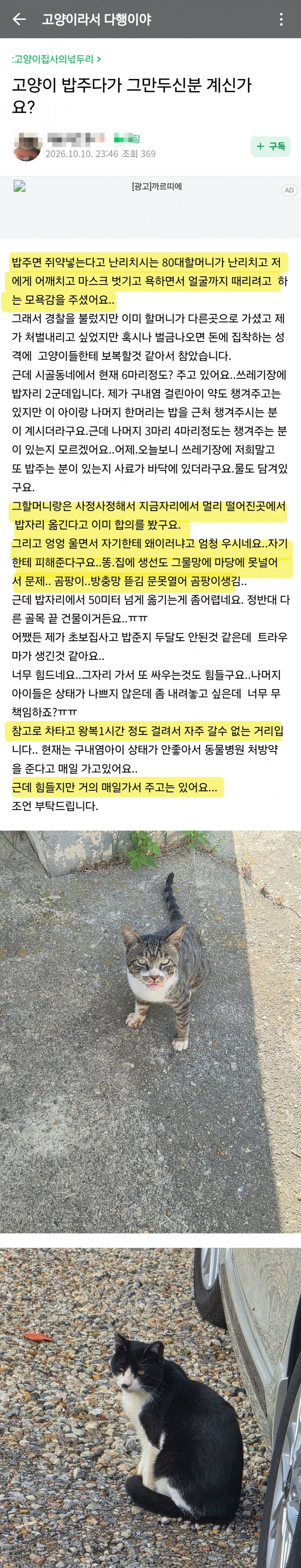 ㄱㄷ) 할머니가 밥주지 말라 엉엉 우는데도 원정다니는 캣맘