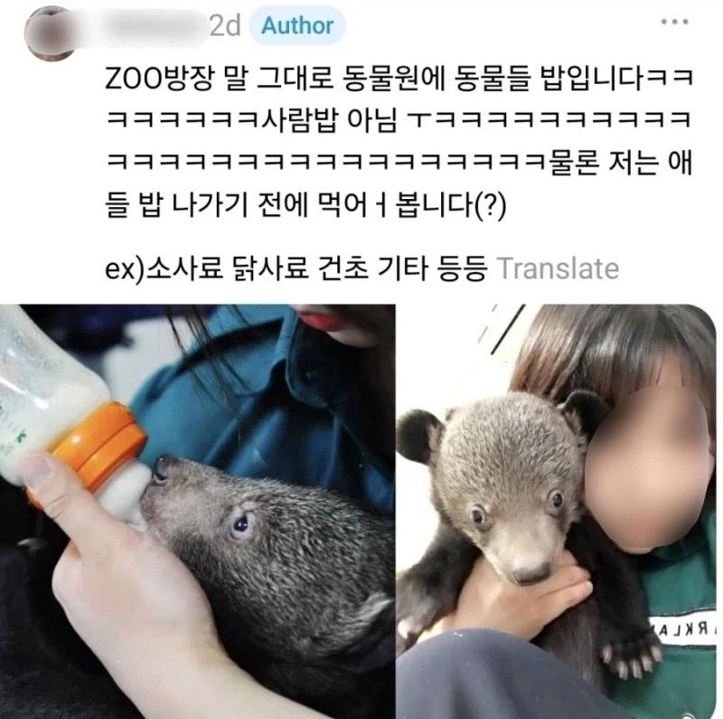 흔한 zoo방장의 하루 (2)