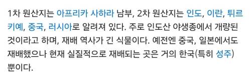 외국에서 한국 고유 과일로 착각하는 것.jpg