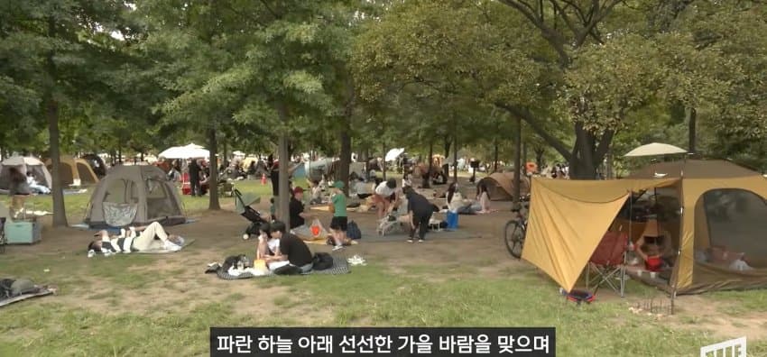 한강 필승 조합이 바꺘다, 회크닉 인기. (14)