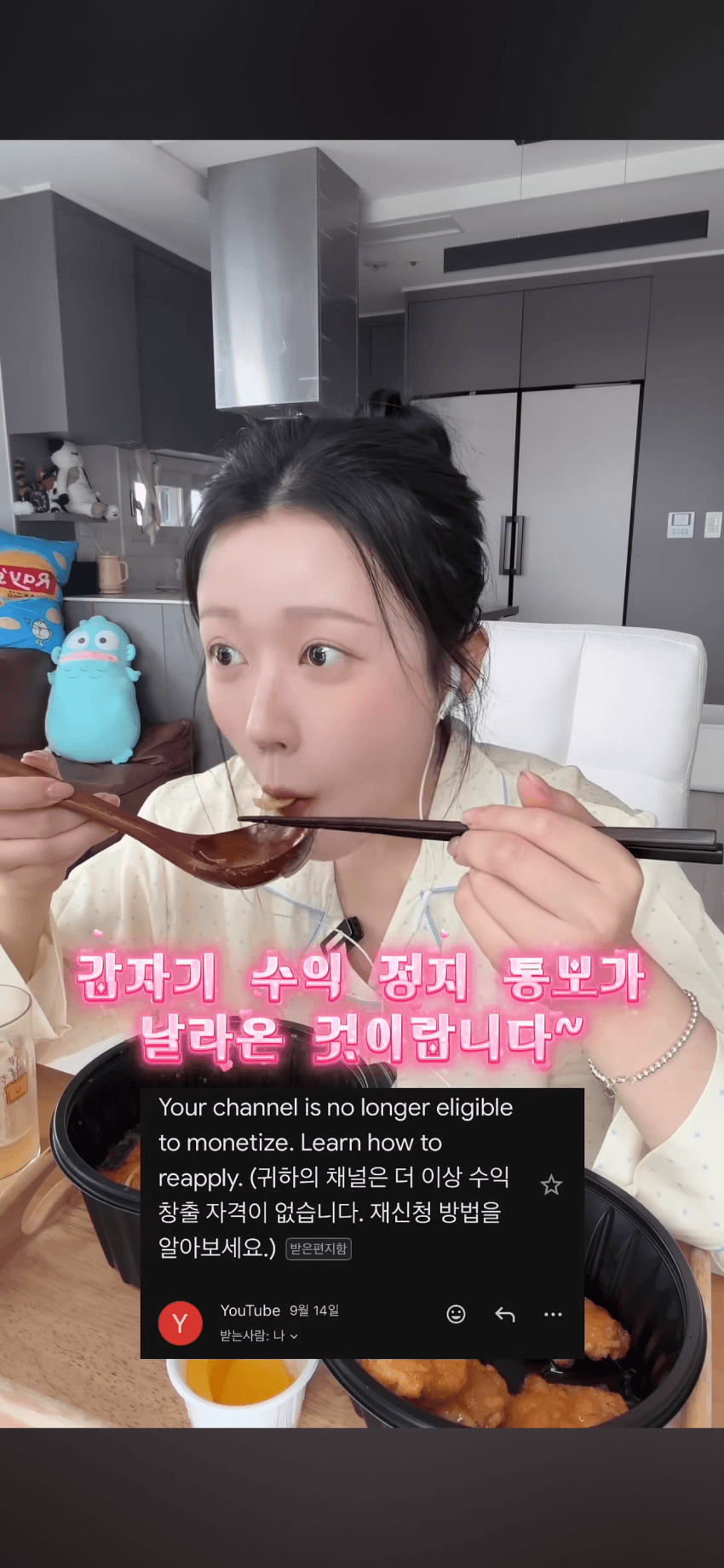 유튜브 먹방 수익창출 중단 재제 정리 (6)