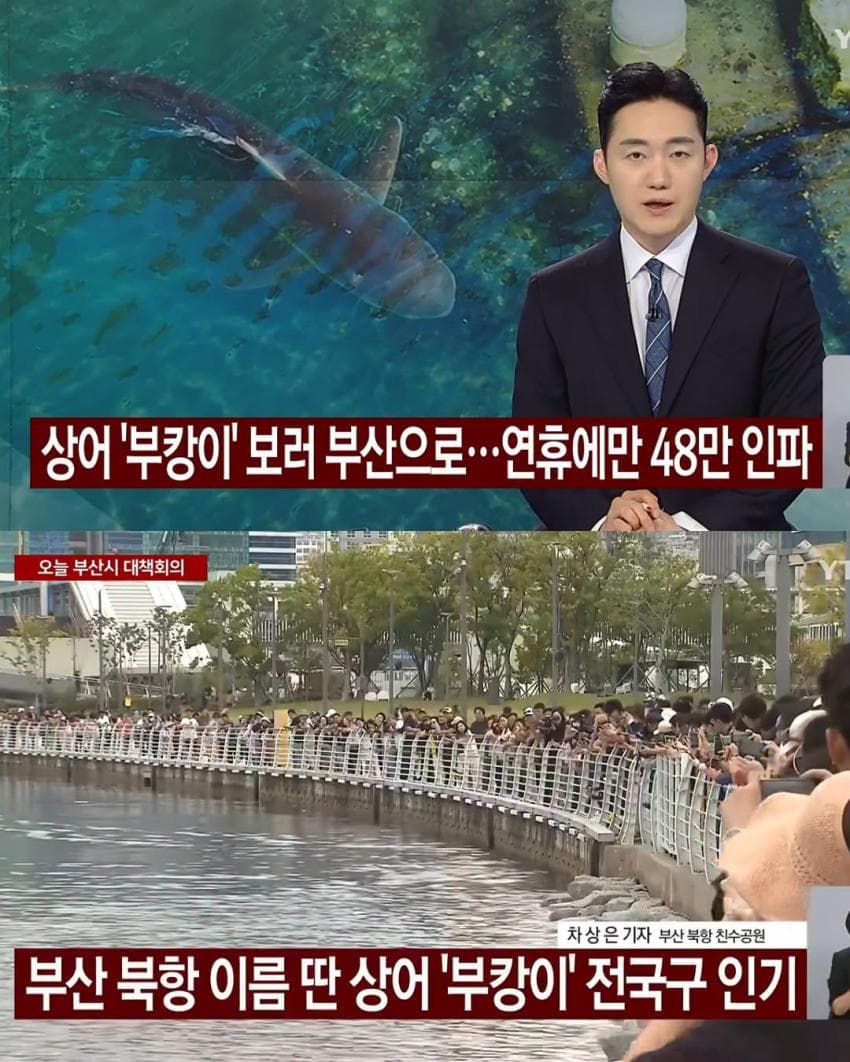 아무 것도 안 먹은 것 같다는 부캉이.. 바다로 유도