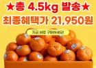 14브릭스 미국 캘리포니아산 만다린귤 4.5키로