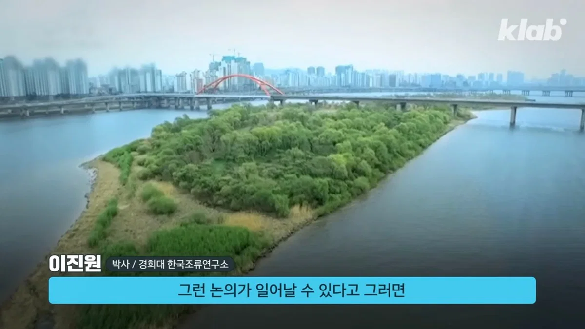 새들에겐 거의 전쟁난 수준이라는 불꽃축제 (57)