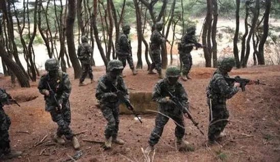 군대에서 소총병을 절대 5명씩 묶어서 편성하지 않는 이유