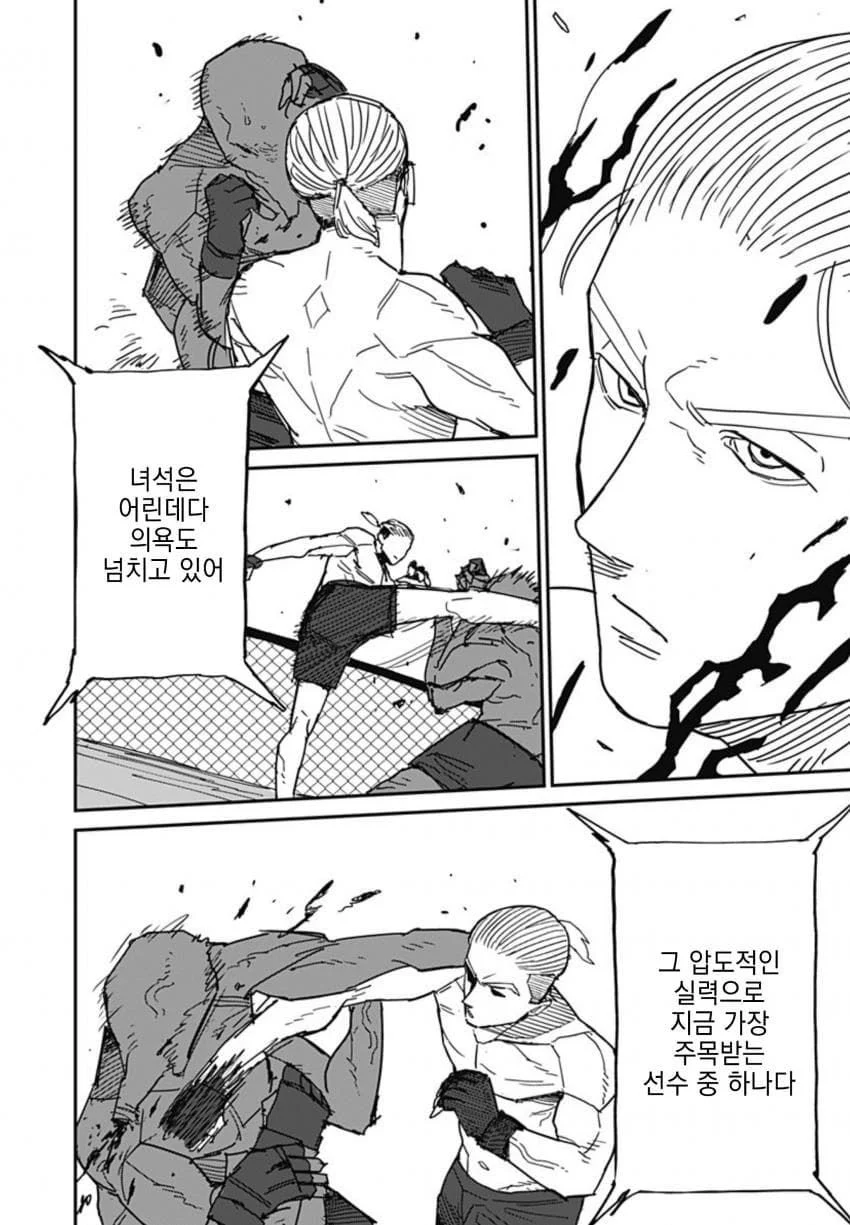 최강이라 불리던 격투가 만화 (31)