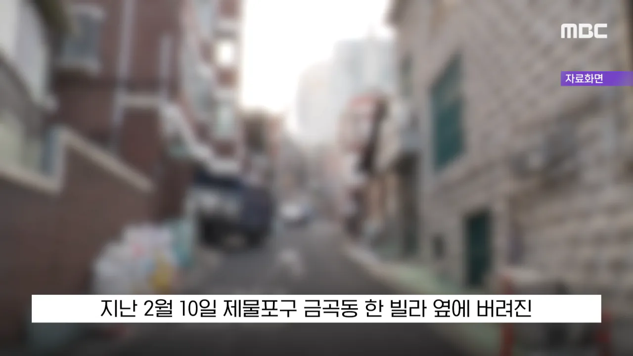 싱글벙글 현금 2천5백만원을 주웠다 당장 경찰서 가야되는 이유 (6)