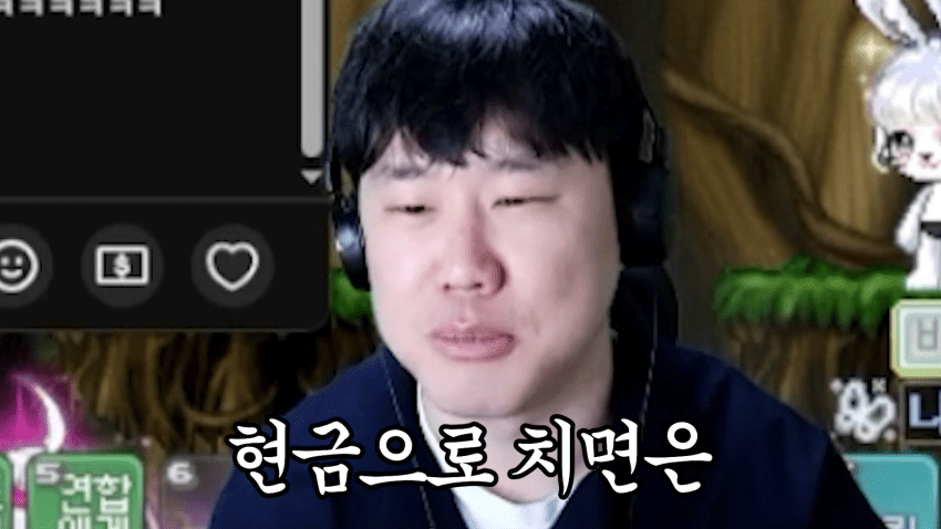 메이플 유저 게임으로만 버는 월 수익 공개 (20)