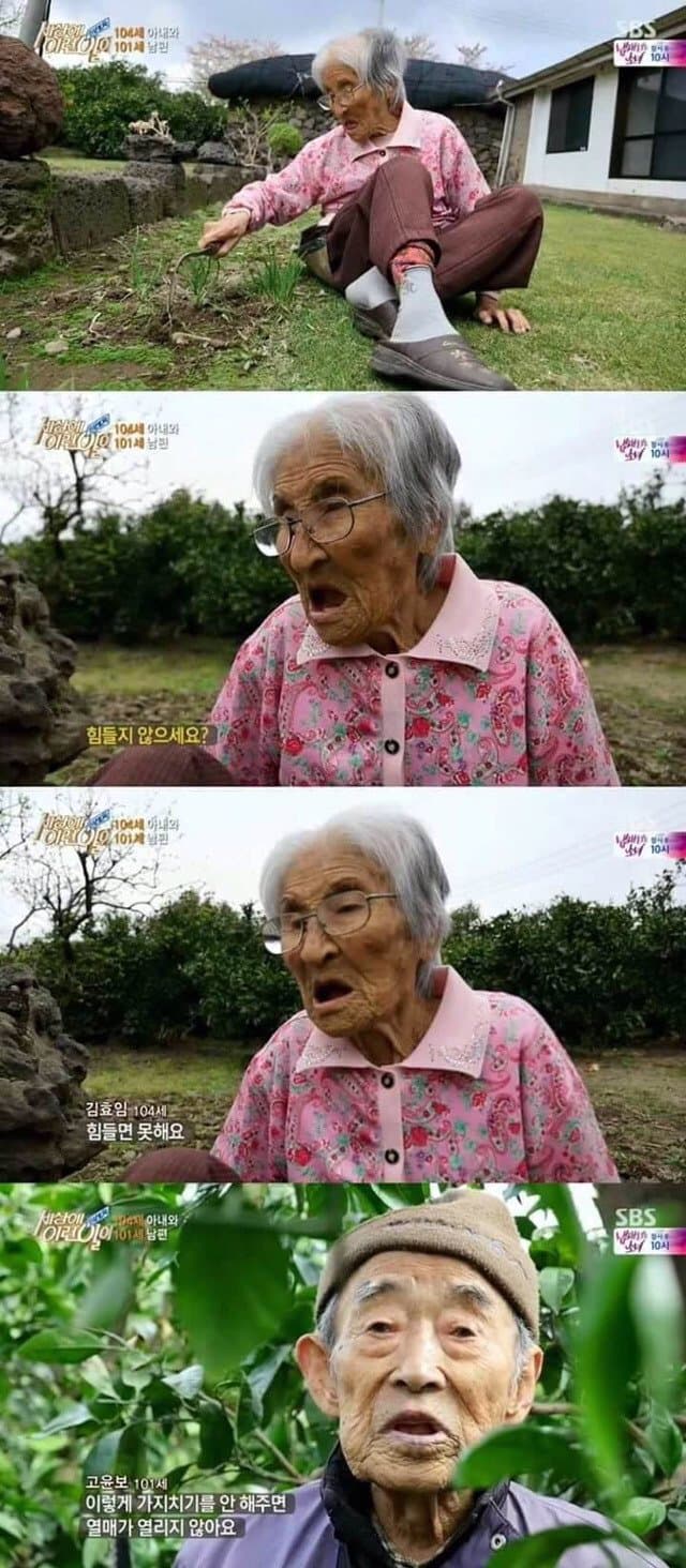 낭만낭만 88년간 연상의 아내를 사랑한 할배 (12)