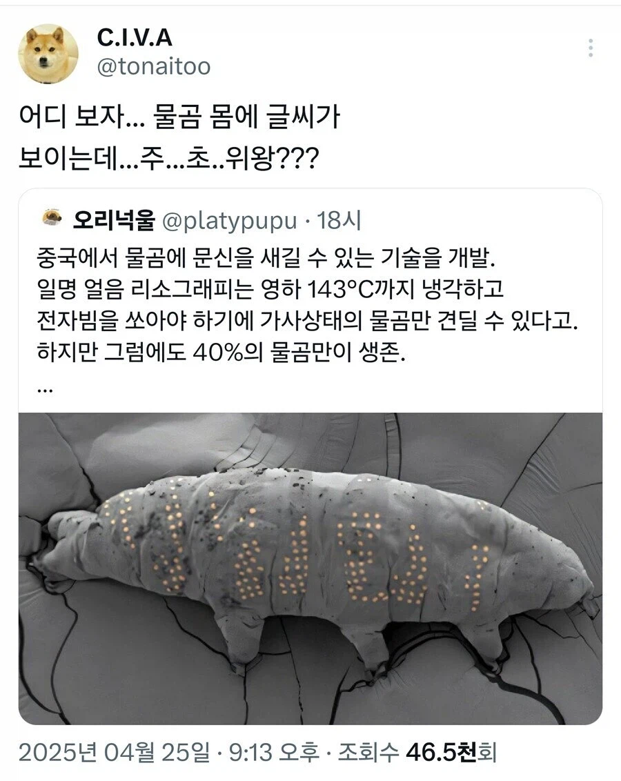 중국, "물곰 몸에 문신하는 기술 개발" (2)
