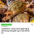 [G마켓]국내산 100% 알배기 활 암꽃게 500g+500g(총 1kg) 3-5미 (중 사이즈) (17,990원/무배)