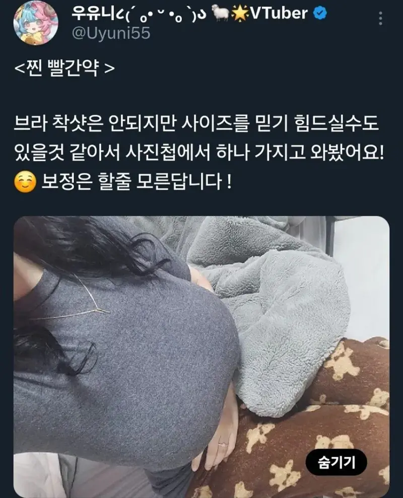ㅇㅎ?) 본인 가슴 M컵 인증한 버튜버. (5)
