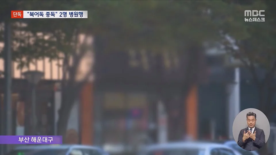 [단독] 소문 난 복국집서 '복어독' 중독‥병원행 식당측 "개인의 체질문제" (3)