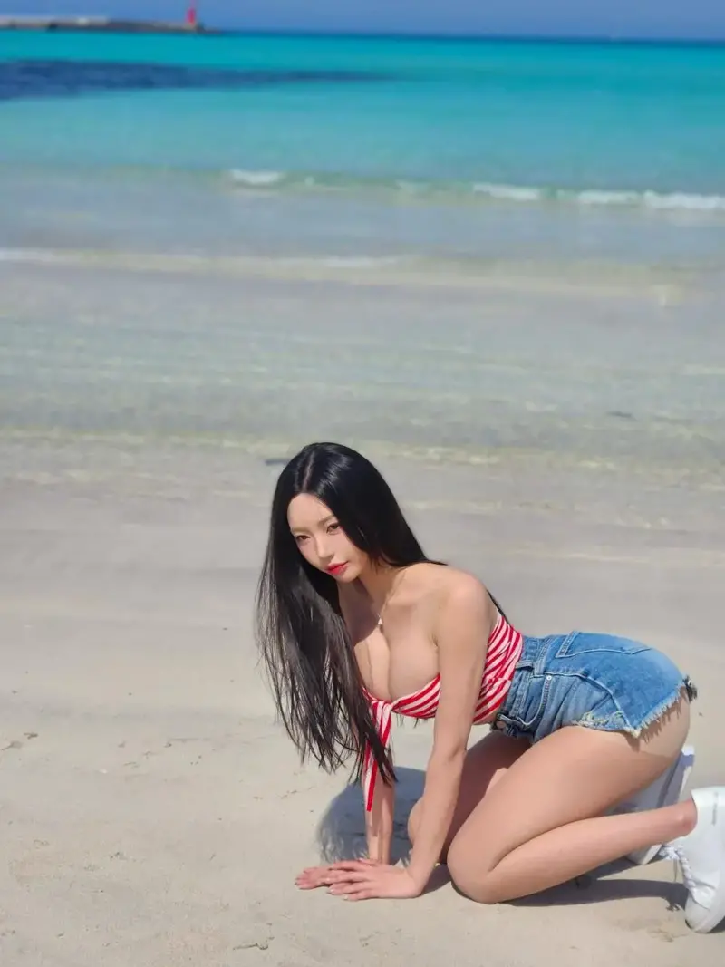 ㅇㅎㅂ 서양 형님들이 환장하는 한국 여자