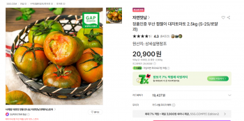 [SSG] 짭짤이 대저토마토 로얄과 2.5kg
