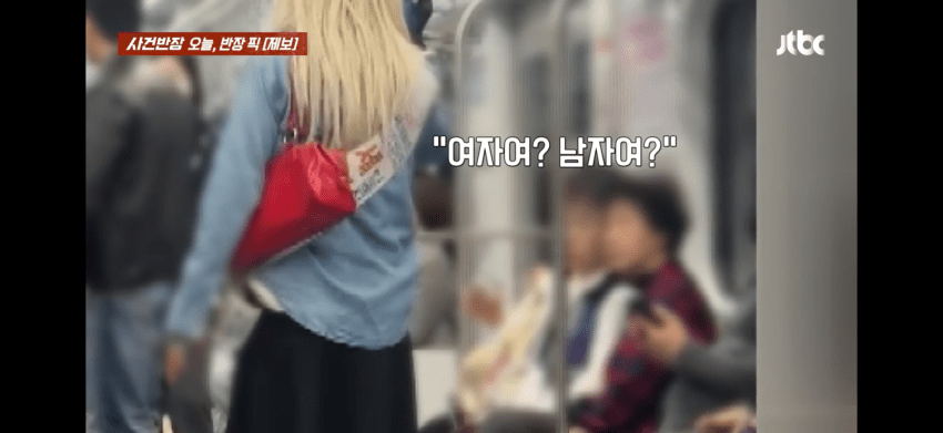 금발 가발에 보정속옷까지…서울 지하철서 목격된 여장 남성들 (10)