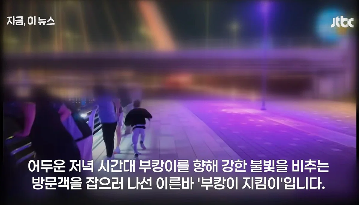 이것마저 역시 부산답다는 말 나오는 부캉이 방범대... (2)