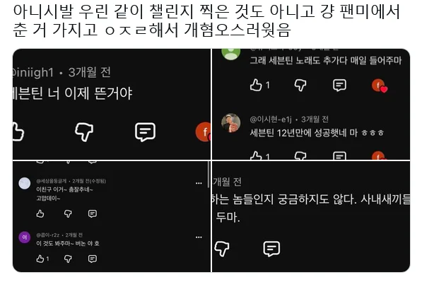 다른 아이돌 팬덤 긁는 리센느 일부 팬들 (3)