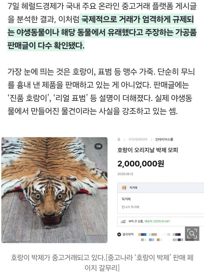 “여기가 한국 맞아?” 진짜 호랑이 ‘700만원’에 대놓고 거래 (6)