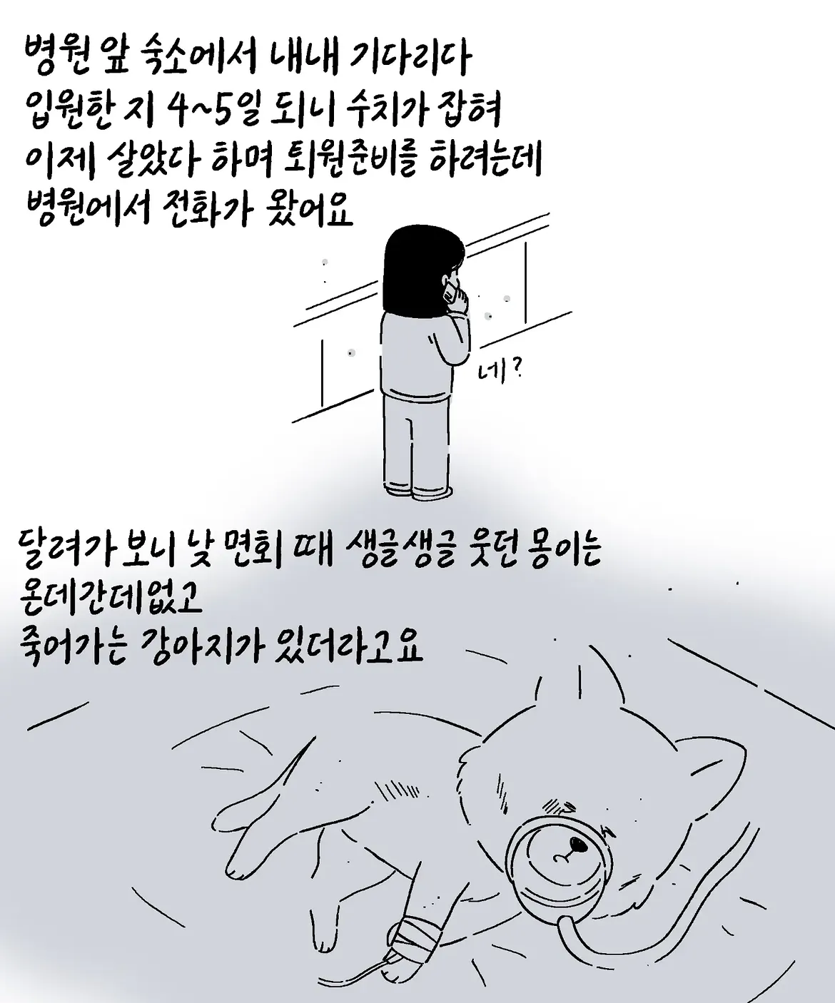 몽이는 처음부터 아픈 아이였어요 (9)
