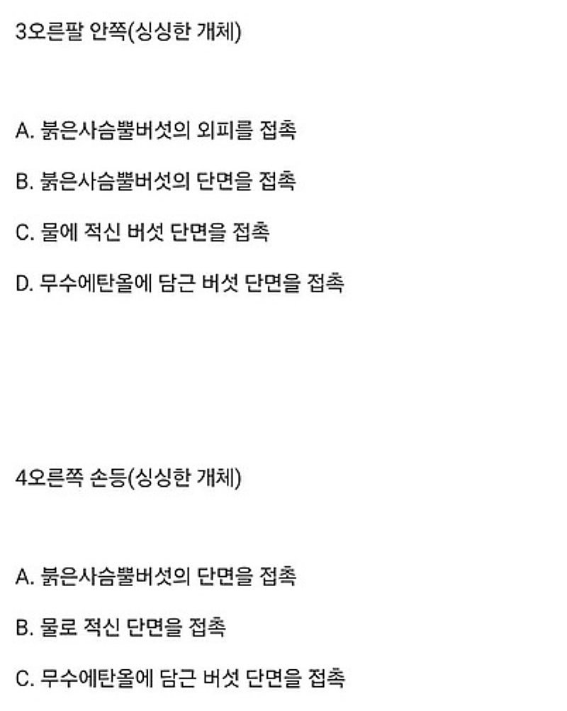 붉은사슴뿔버섯을 본인 몸에 실험한 일본인 (6)
