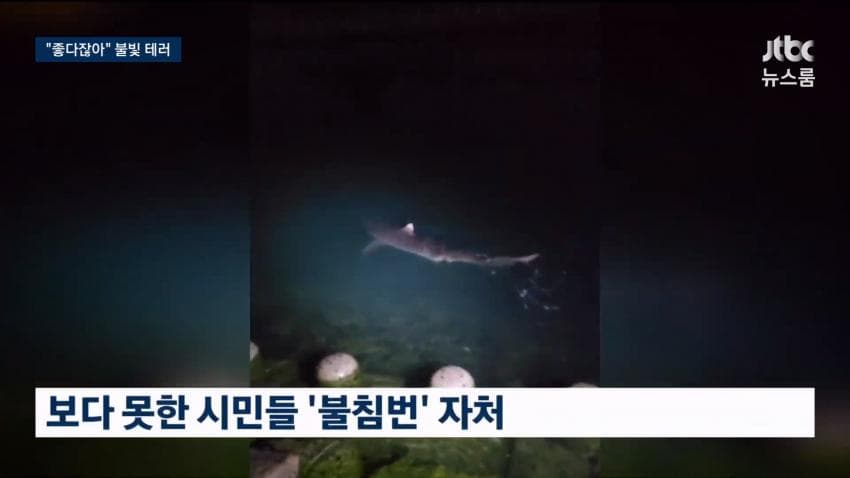 싱글벙글 부캉이 근황 (22)